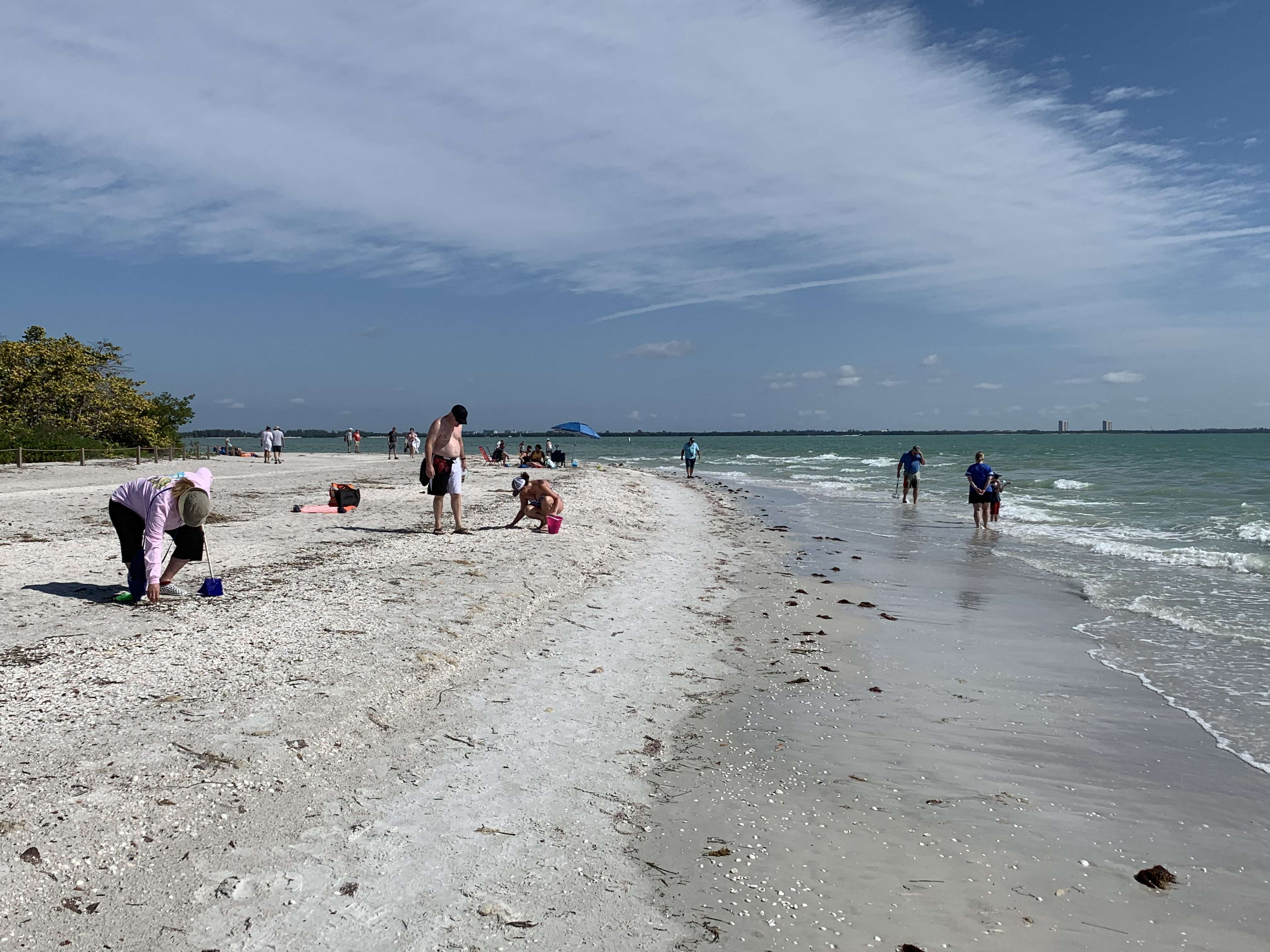 Sanibel Island shelling